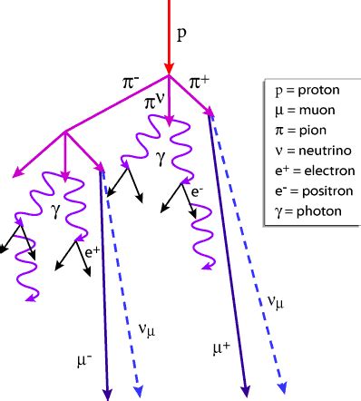 Muon shower diagram